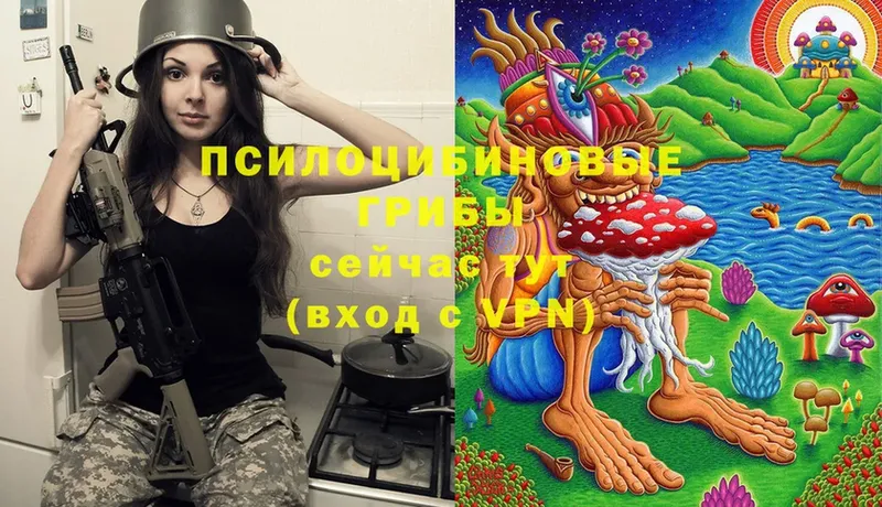 Псилоцибиновые грибы Magic Shrooms  Кашин 